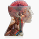 Stratasys’ printer can print this in one go: Imagine when it’s not doing this with just plastics.